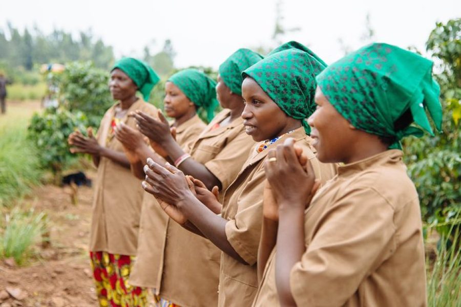 Women-led Coffee Farm Trek — Rwanda